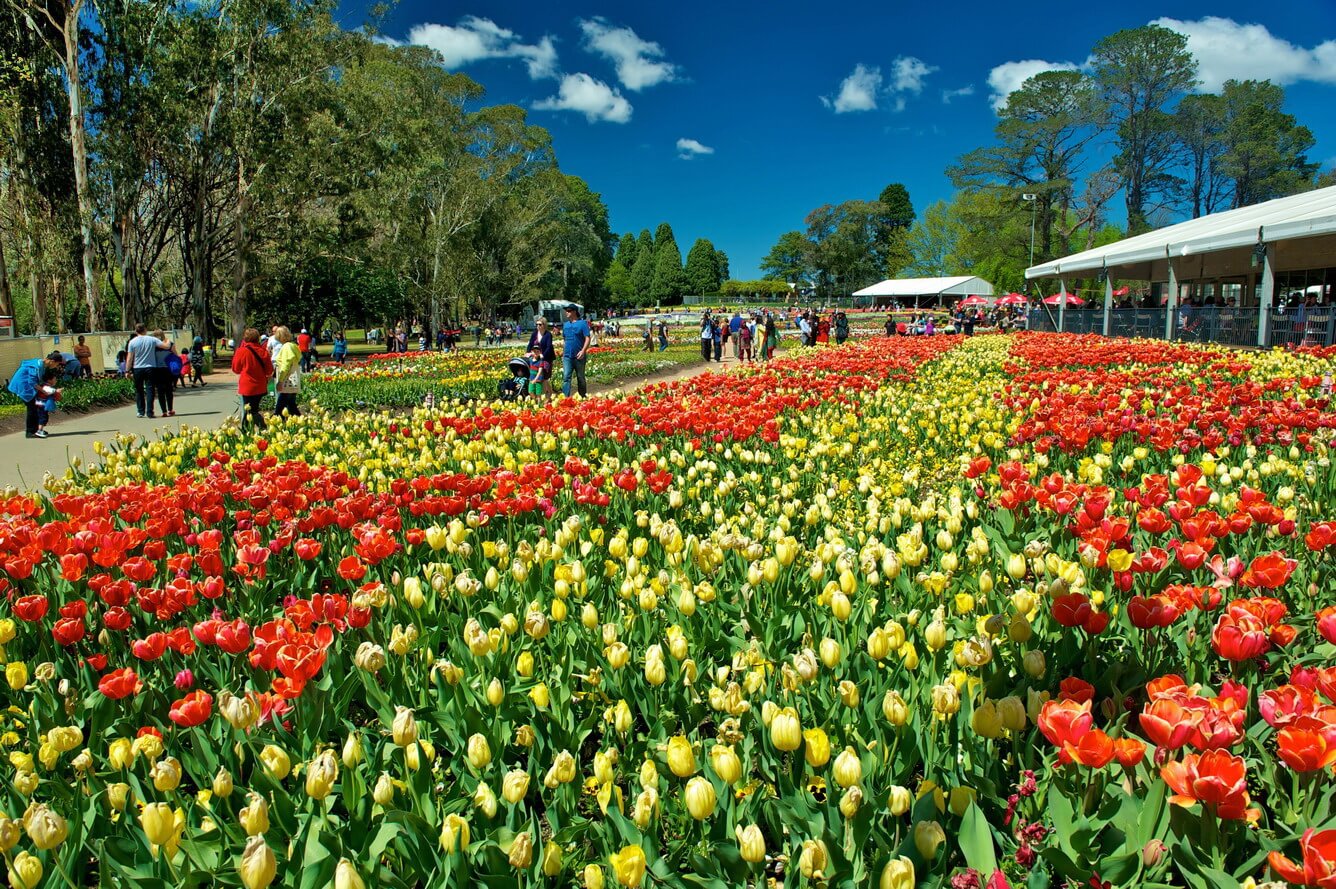 Lễ hội hoa Floriade ở Úc