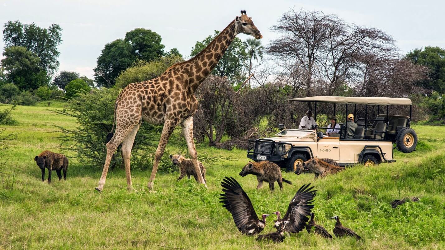 vườn thú Pilanesburg Game Reserve